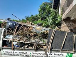 Best Construction Debris Removal  in Adrian, MI